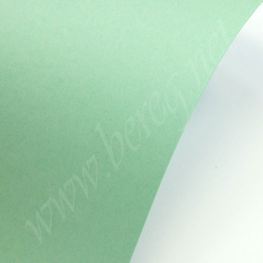 SHYNE LIGHT GREEN  290